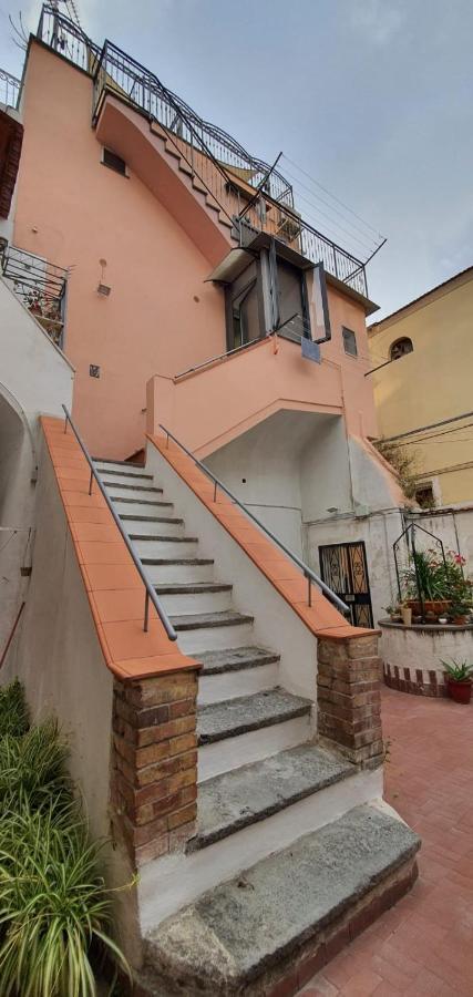 فيكو إيكوينس B&B Starview المظهر الخارجي الصورة